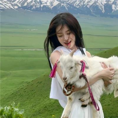 谁杀了甘迺迪